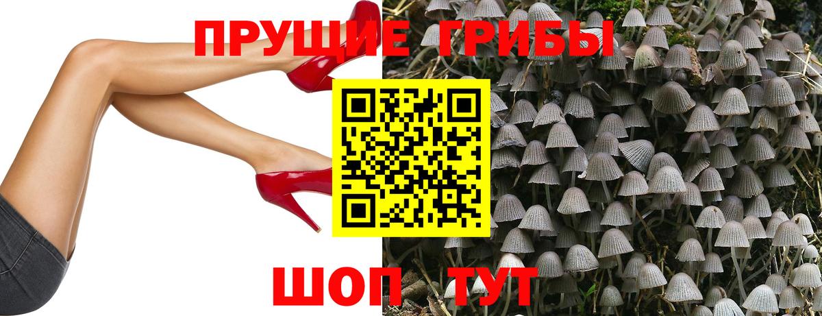 Псилоцибиновые грибы Psilocybine cubensis  Галлюциногенные грибы Magic Shrooms  продажа наркотиков  Черкесск  Вход с VPN 