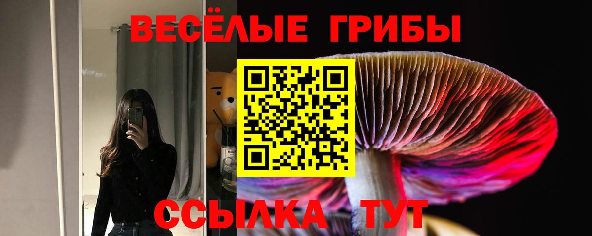 Псилоцибиновые грибы мухоморы Черкесск